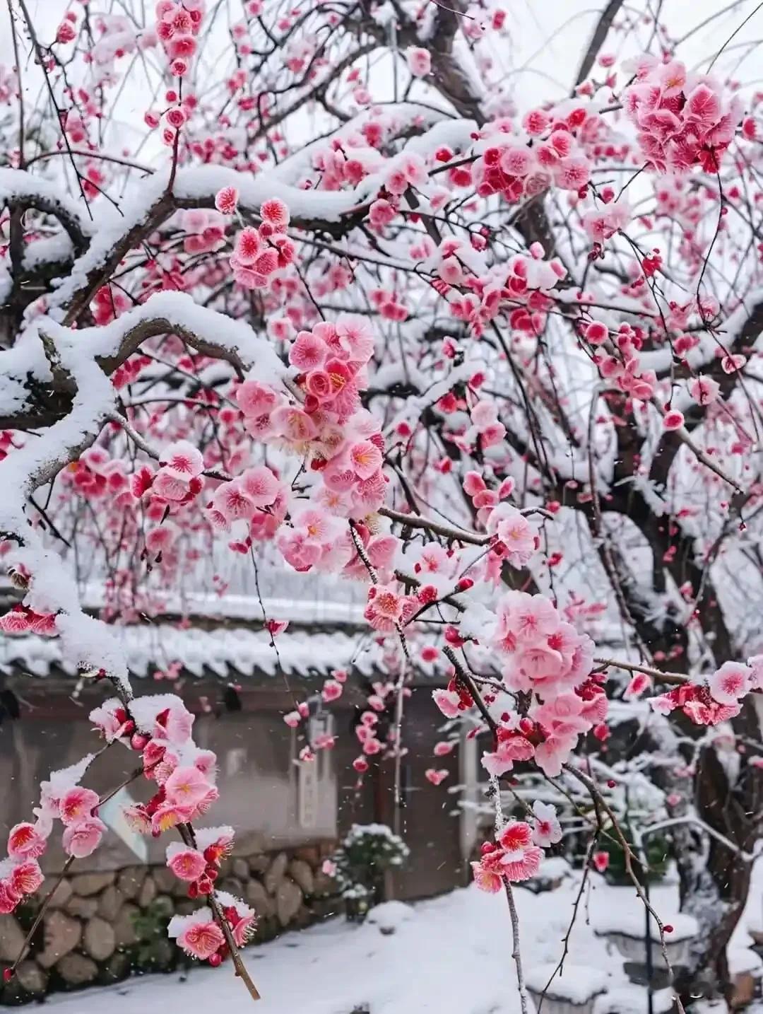 上联:清风细雨江南梦
下联:翠竹红梅塞外歌
横批:雅素共赏