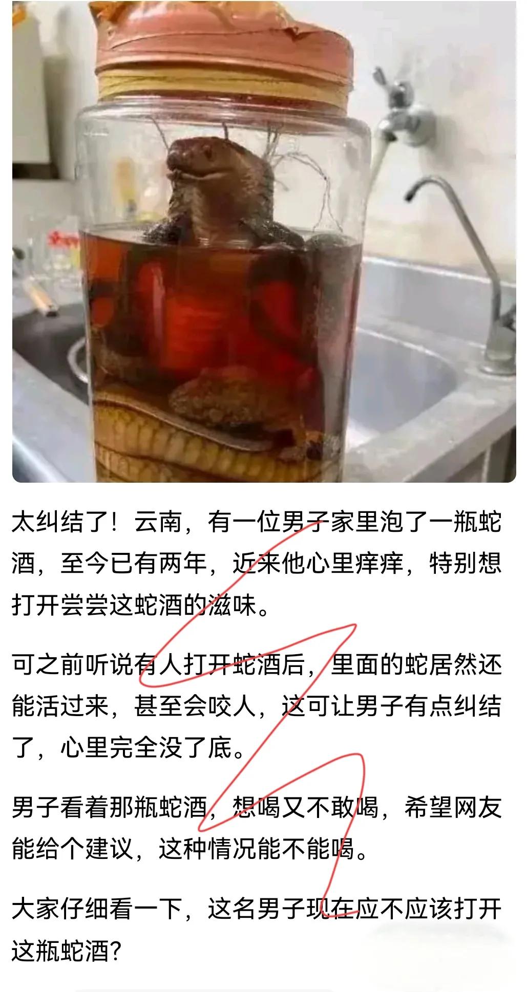 男子面对蛇酒纠结不已：两年沉淀，敢不敢开启这未知的恐惧？网友建议五花八门



