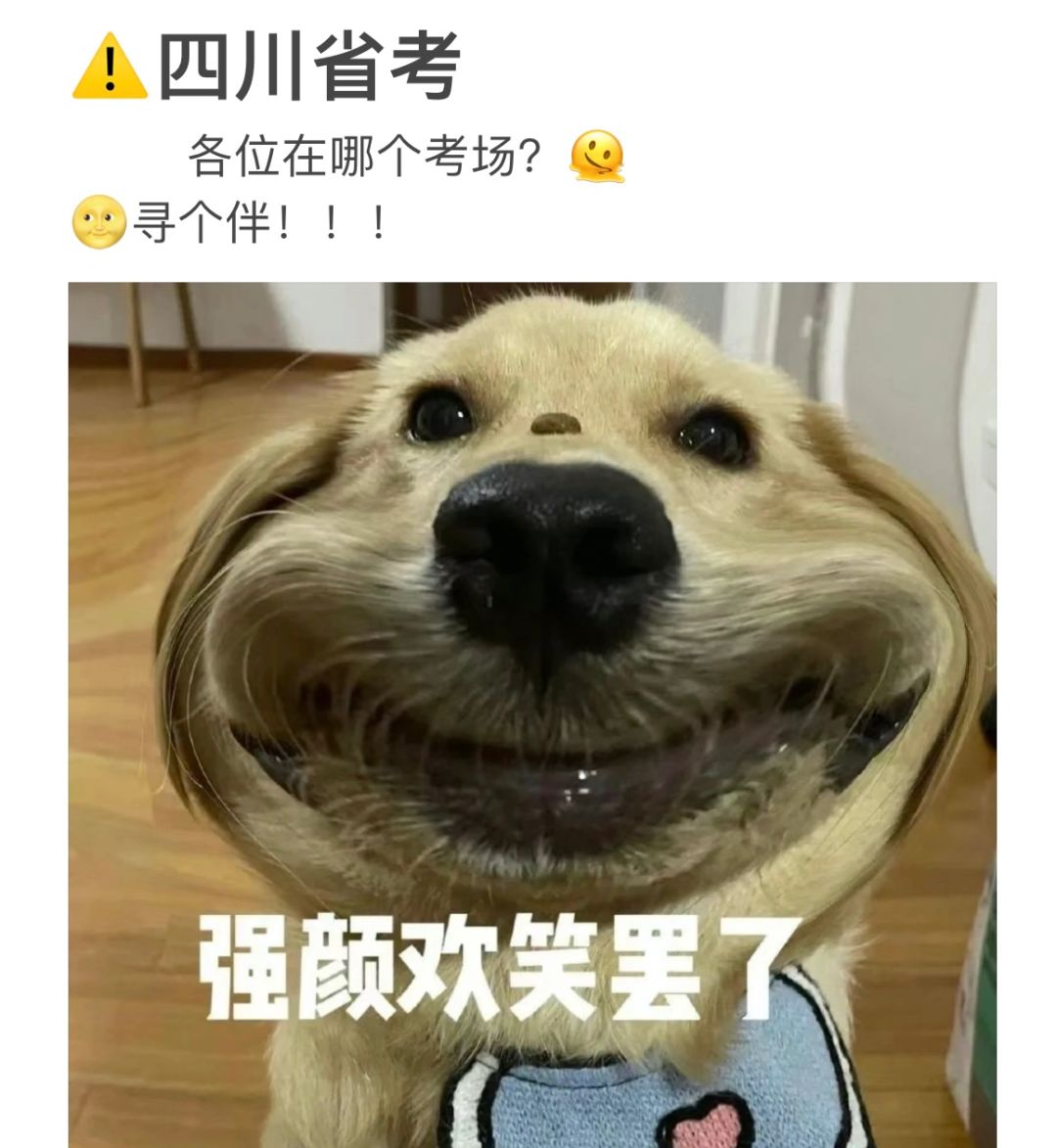 🔥十万火急，交出你们的考场！！！