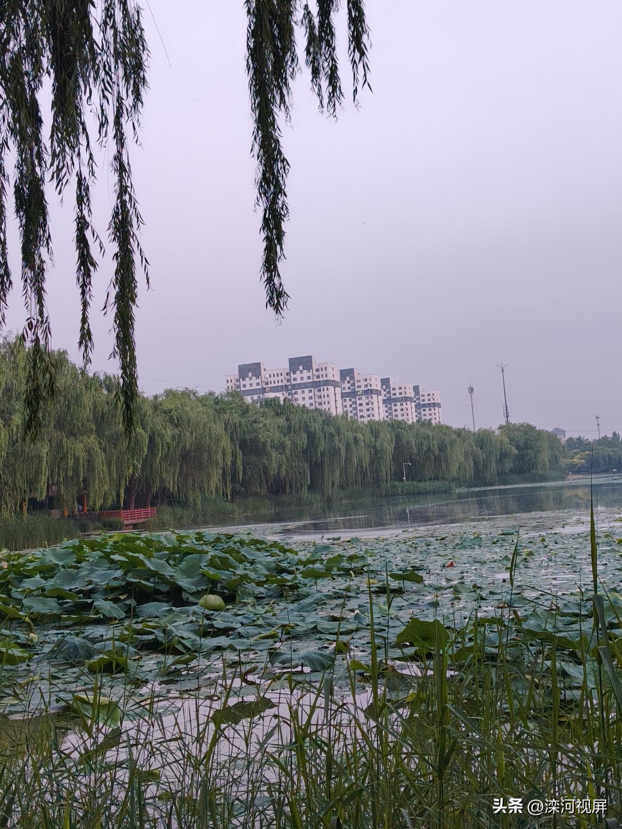 来对下联 河南河北水千条