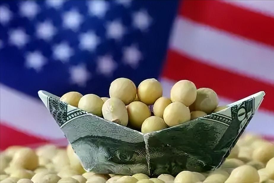 俄罗斯这么近，我国为啥漂洋过海买美国转基因大豆？真相没那么简单。

2026年7