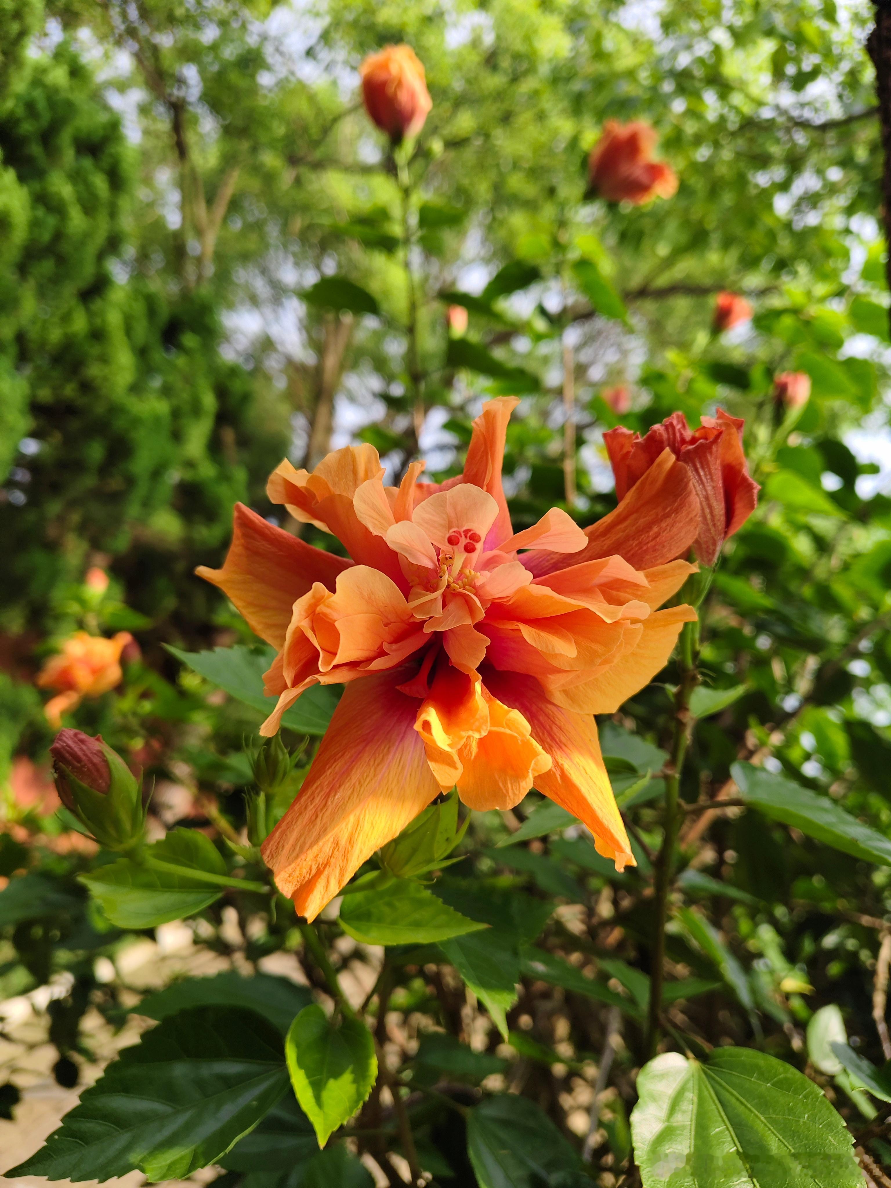 暖心图文 对一个人太好，时间久了就成了理所当然，反而偶尔对人好一次，人家会受宠若