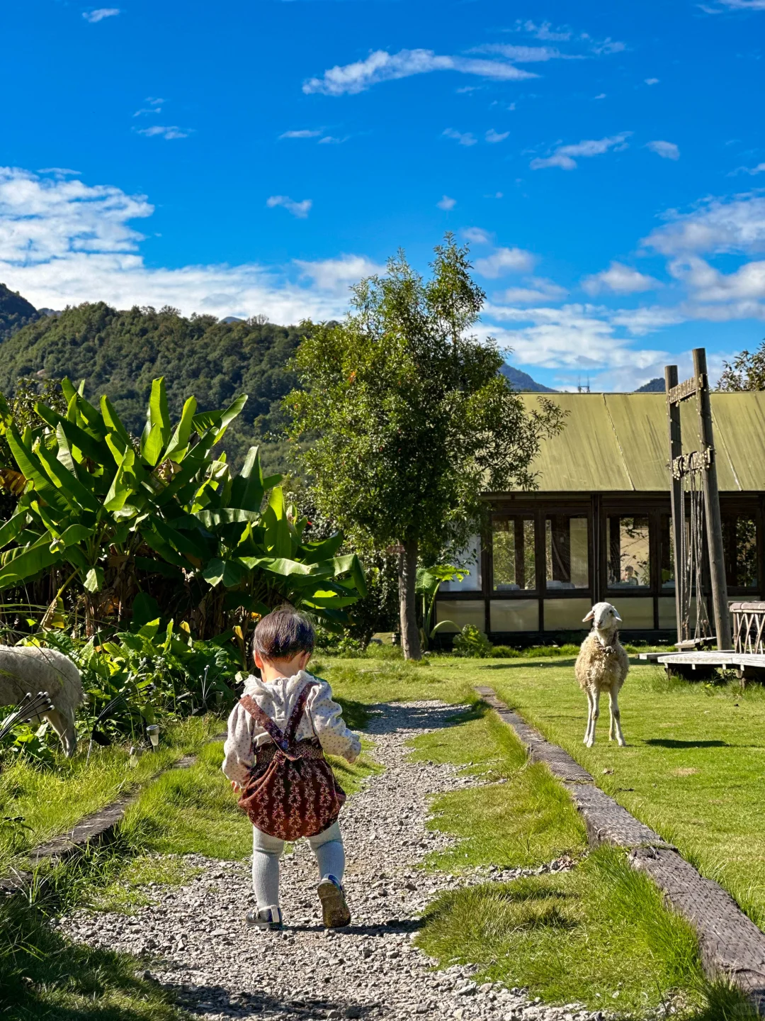 秋游记🍂人类幼崽在放羊