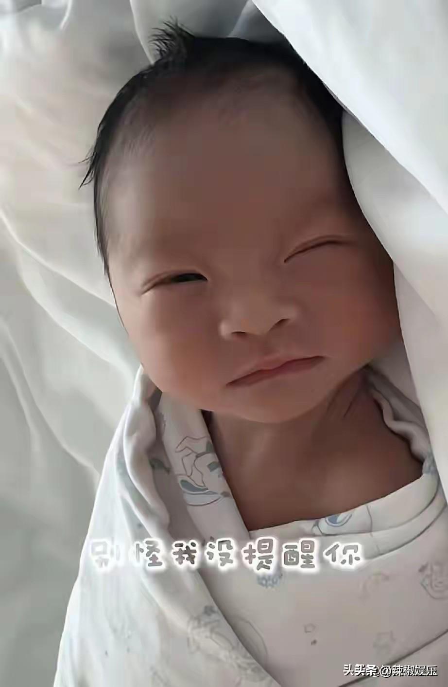 太可爱了这个小家伙