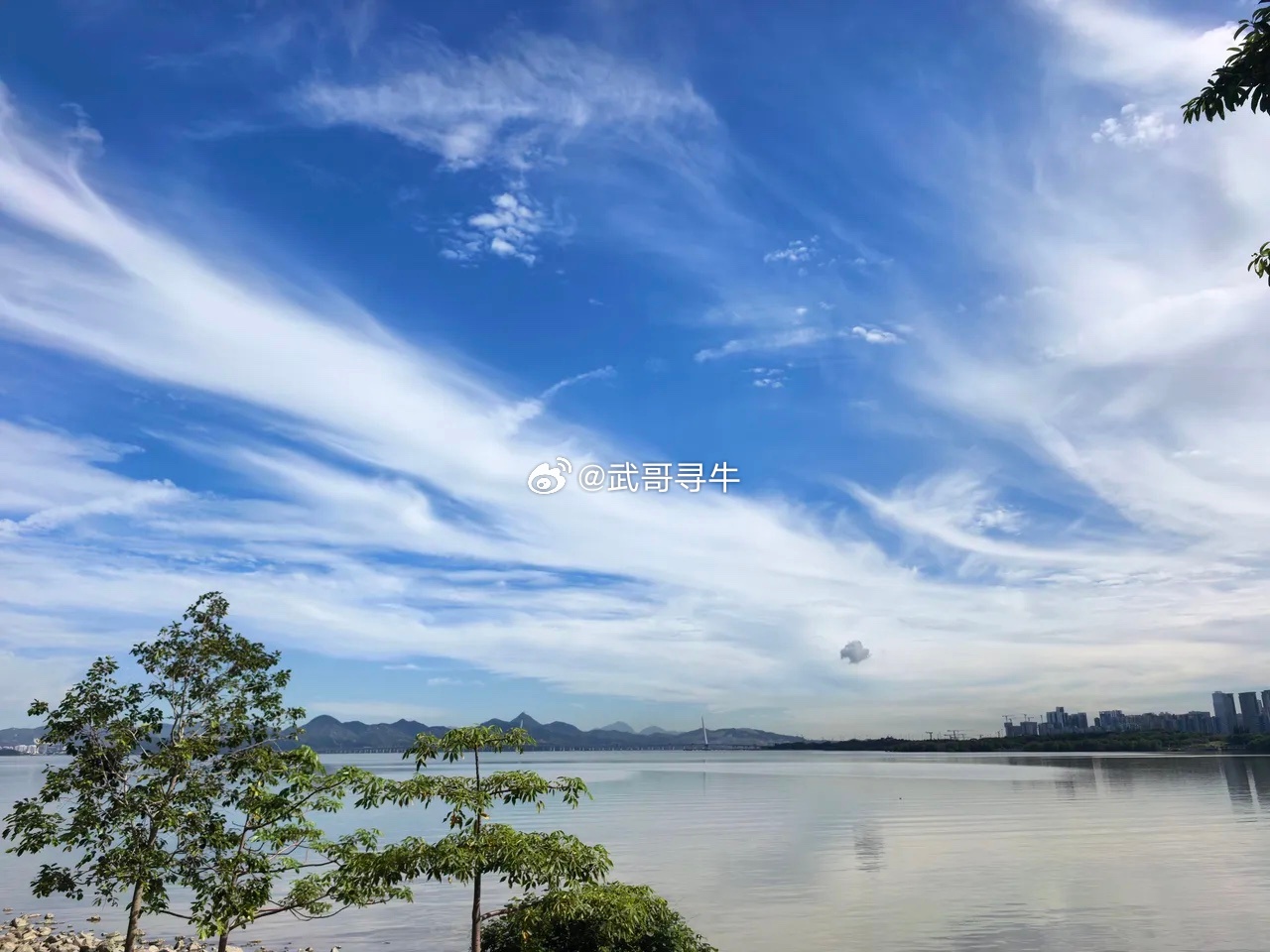 不用猜了，明天还是涨！截至收盘，沪指涨0.25%，深证成指涨0.44%，创业板指