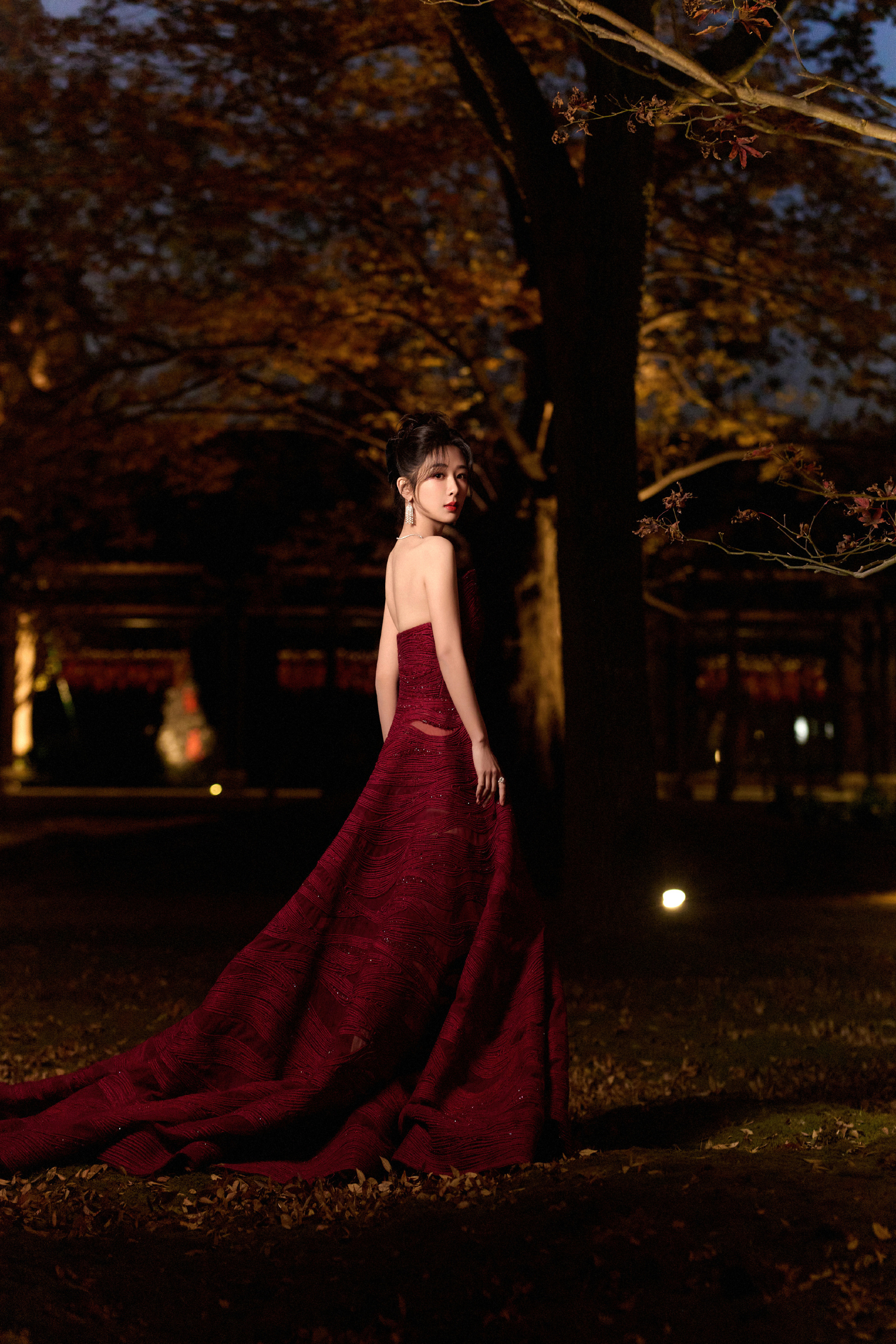 杨紫 红玫瑰🌹 