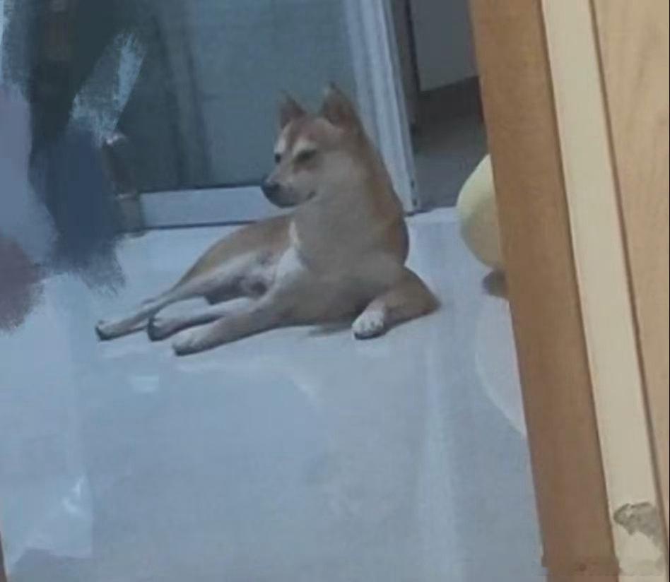 泥干啥 ​​​