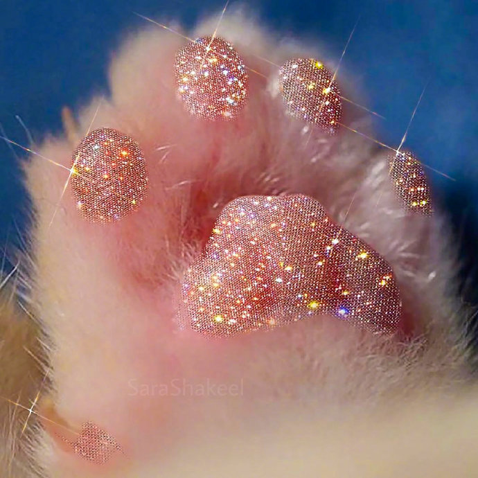 一只招财的猫爪，点右下角来财！！【搞笑】 ​​​