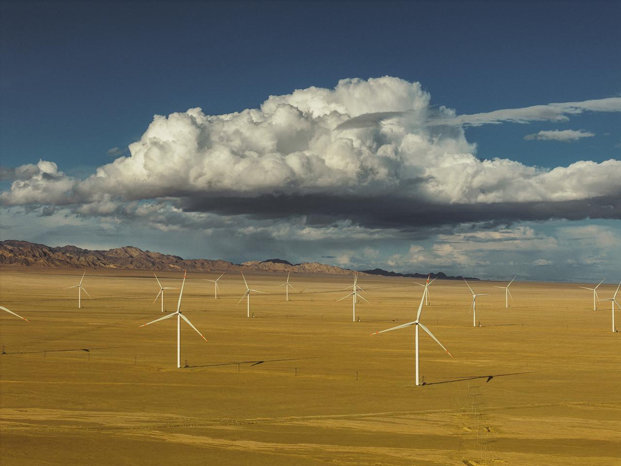 青海冷湖地区，连片的风车与雪山、戈壁一起组成了这里的新风光。开车路过的时候正好看