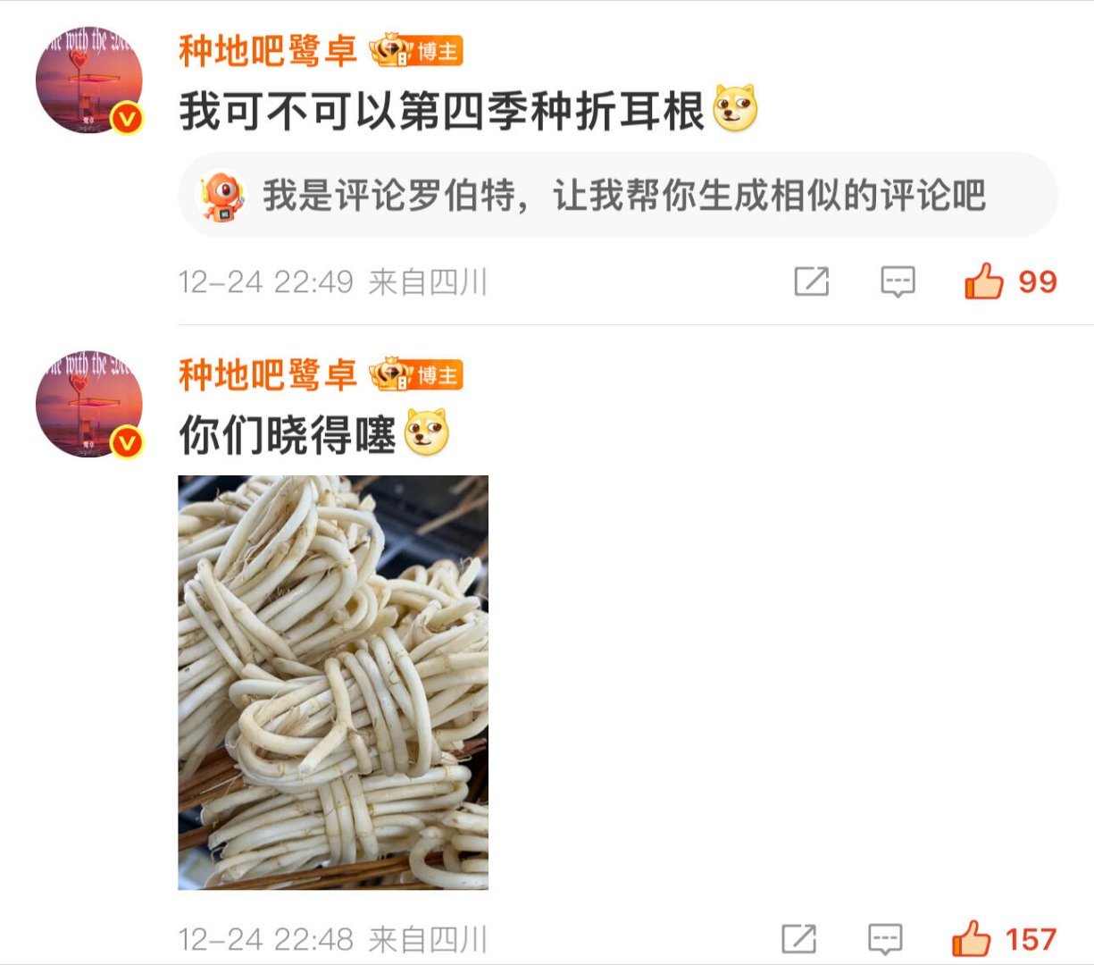 小鹭卓：我可不可以第四季种折耳根种，折耳根花语:云贵川专属十个勤天  |  种地