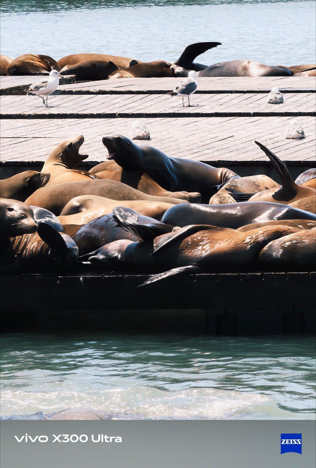 我也想像他们一样，工作就是瘫着