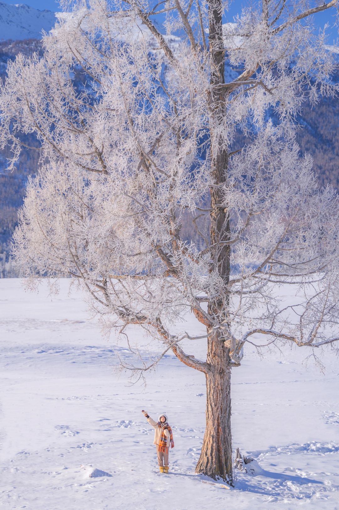 冬季新疆全攻略❄️ 一起在雪里肆意狂欢吧