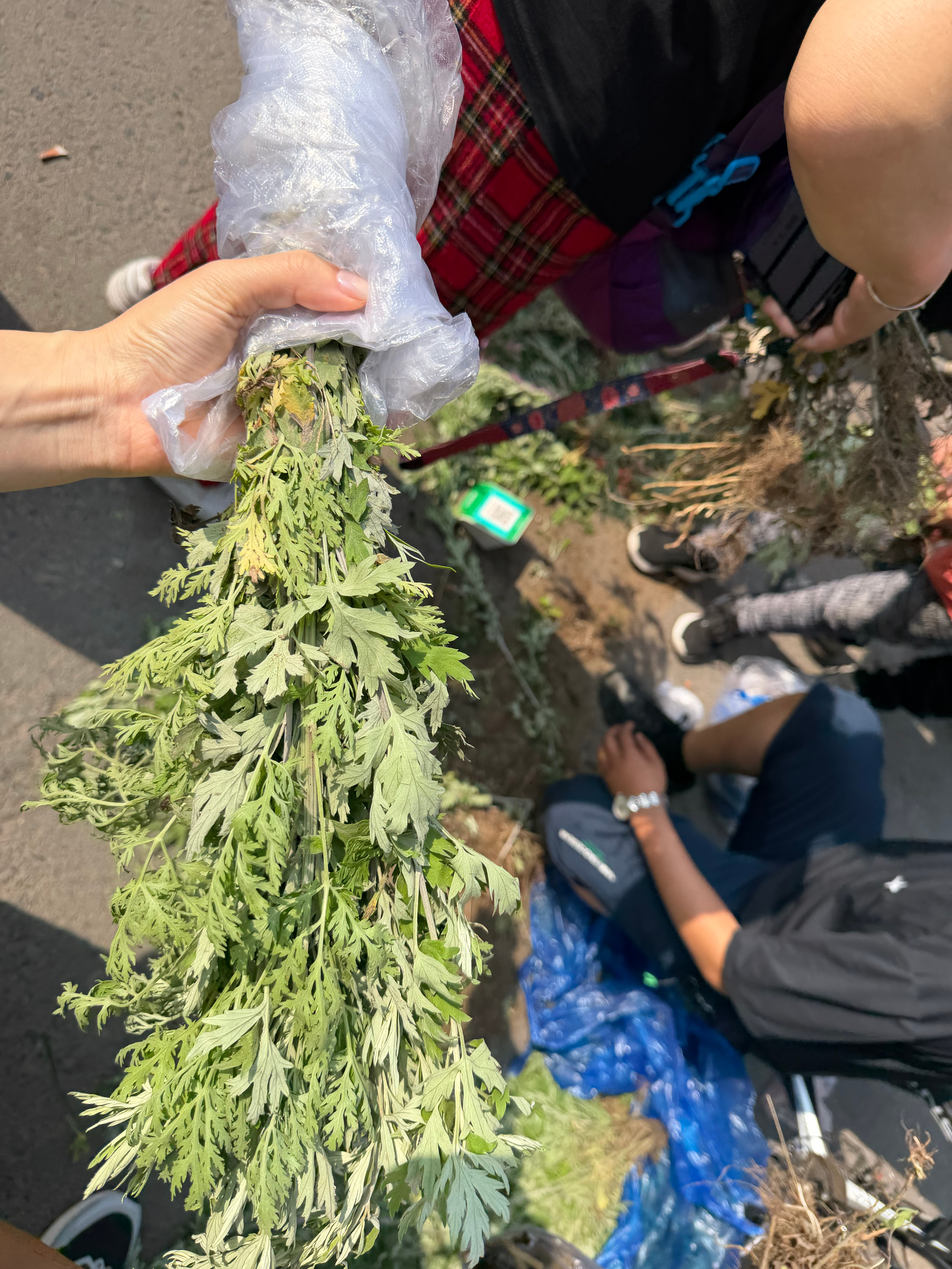 端午安康感知幸福 