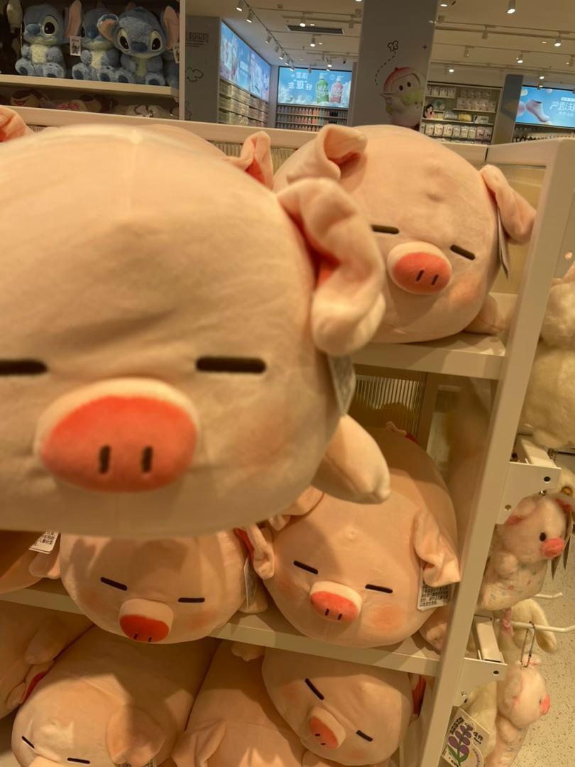 🐷 