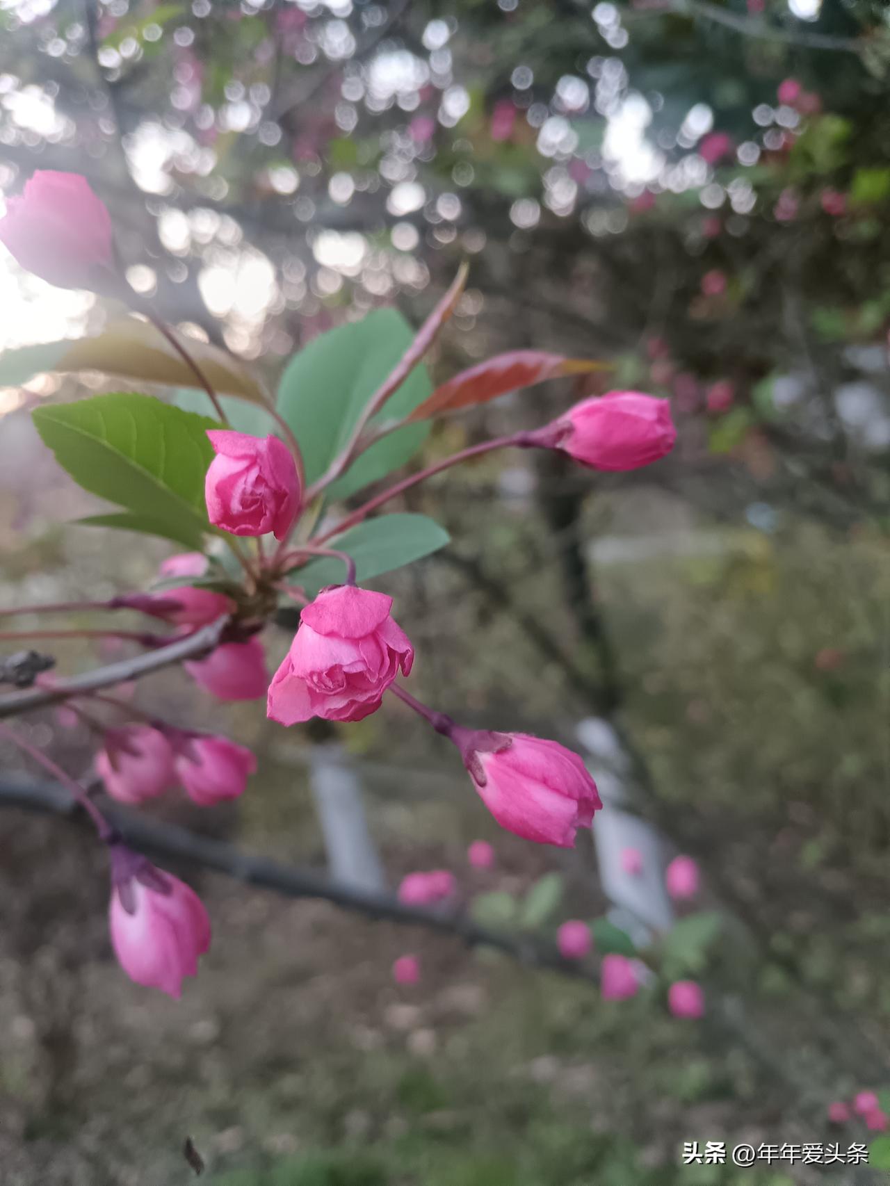 春天的脚步近了，暖风一吹，心里就痒痒的，总想找个机会出去透透气。带上家人、约上好
