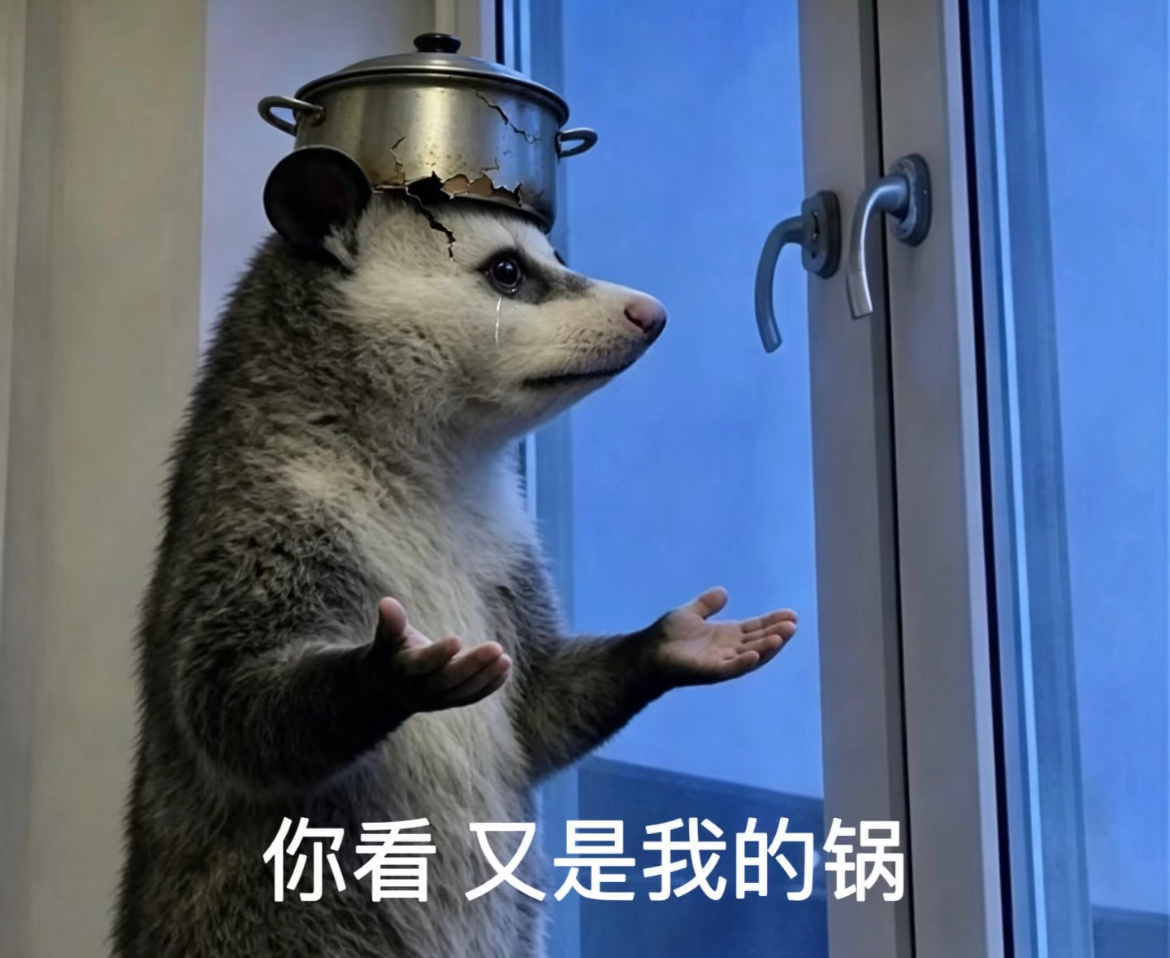 家人们真没招了…我这面飞机是7点飞的…朋友跟我说北京暴雨了….电闪雷鸣的那种…这