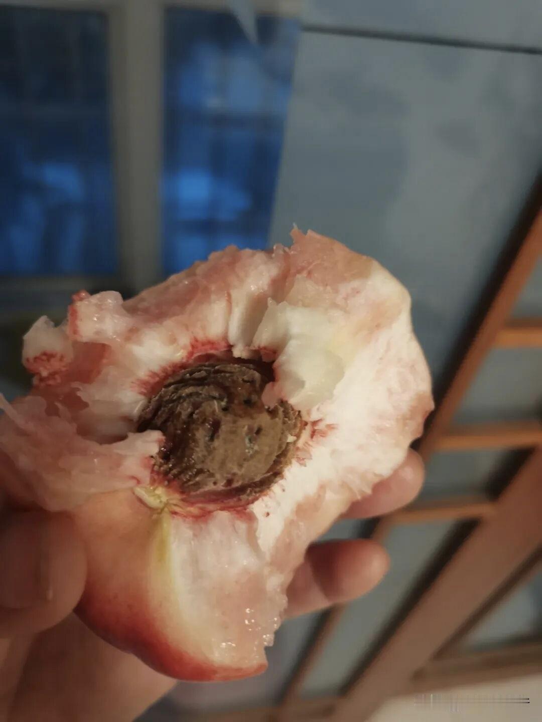 不知道大家发现了没有，现在正是鲜桃上市的季节，但是看到成堆的桃子就没有要买的欲望