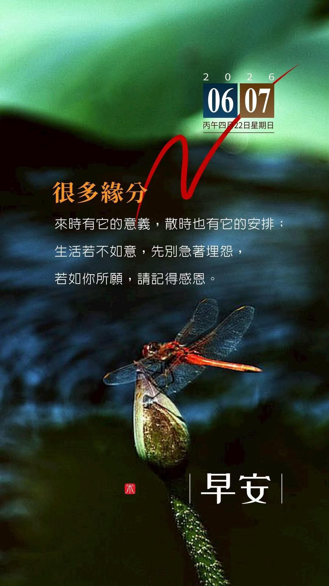 5个部位疼可能是心梗先兆大部分心梗患者发病前的一周左右，可能会有牙痛、嗓子不适、