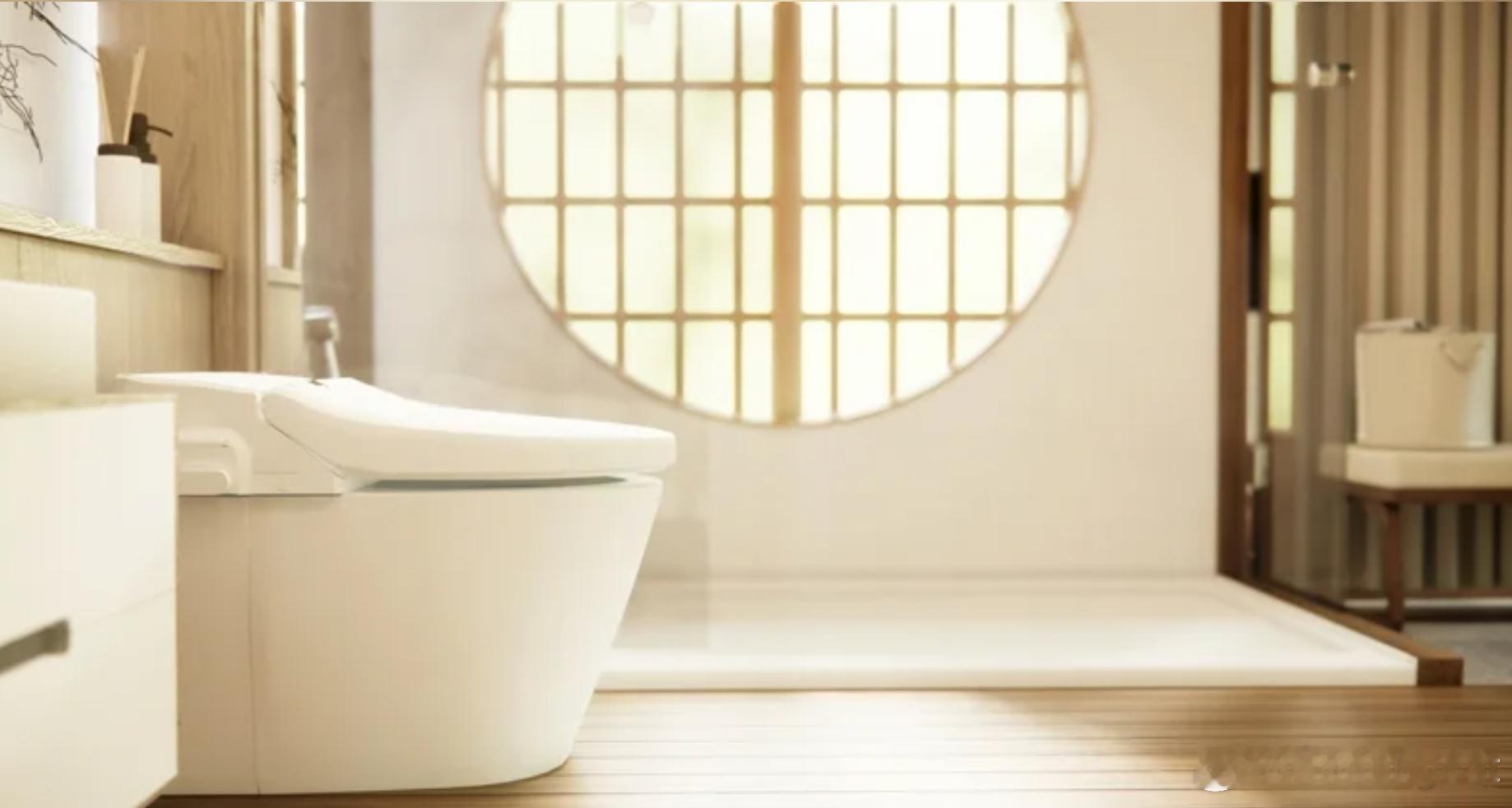 【日女主播拒用免治马桶引热议 肛门科医生力挺：我也不用】海外新鲜事 日本“免治马