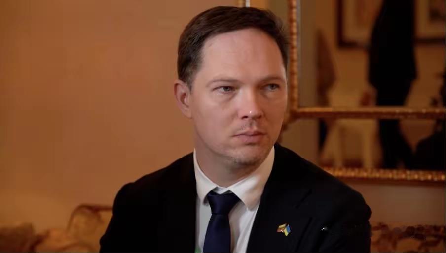 立陶宛财政部长瓦伊季库纳斯在接受《基辅邮报》采访时公开发声，表示乌克兰冲突“是针