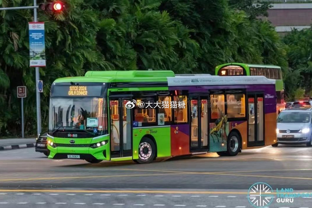 用实力助力全球绿色出行！国产车在新加坡彻底杀疯了！2025年狂卖11184辆，同