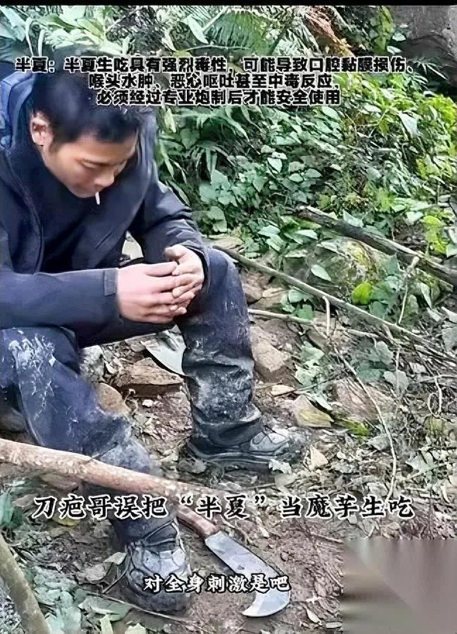 完了！刀疤哥这次要栽在“嘴馋”上！

就一口“假魔芋”，直接把自己吃进了医务室！