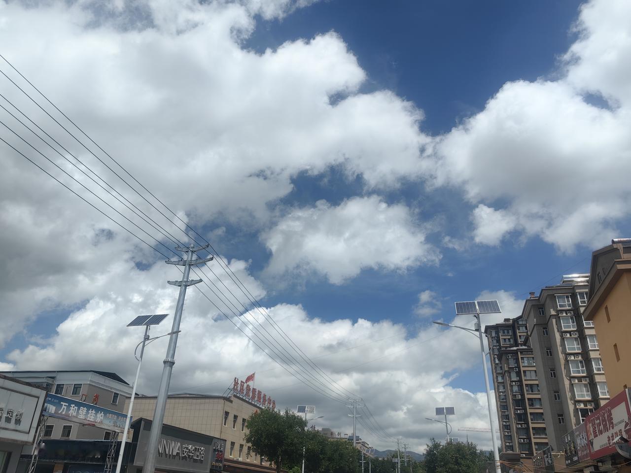 今日分享随手拍照片