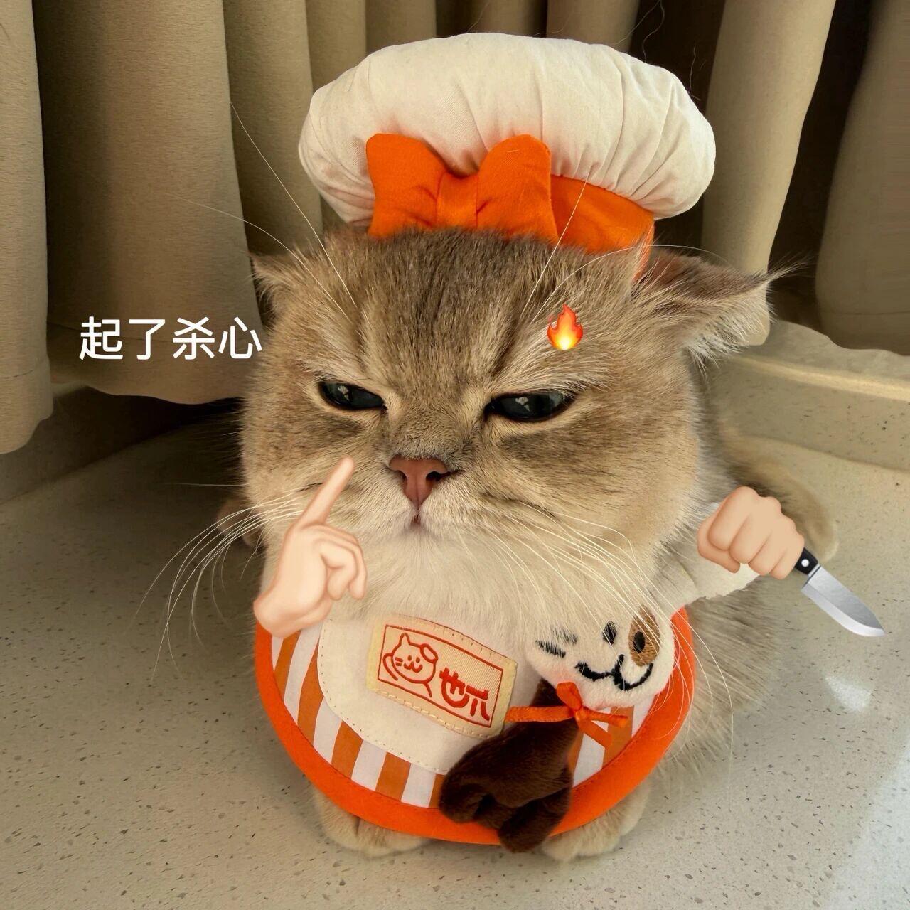 𝗪𝗲𝗖𝗵𝗮𝘁 |可爱猫猫头人，你喜欢咪吗？ ​​​