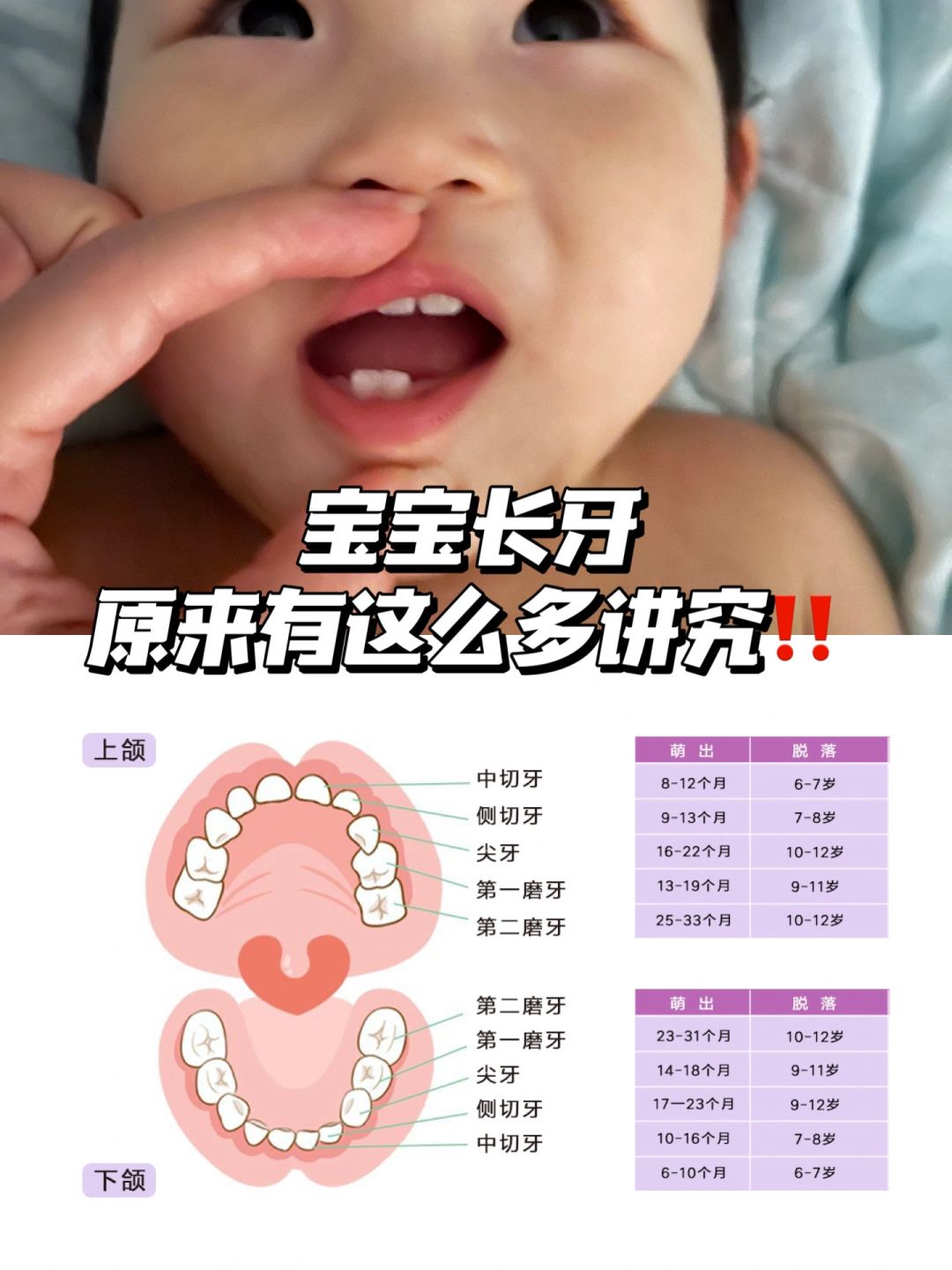 宝宝出牙顺序、症状及护理！你一定要知道！