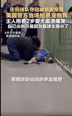 美国洛杉矶，一女子在家看球赛看到尼克斯球队夺冠后放声尖叫，用来庆祝。邻居听到之后