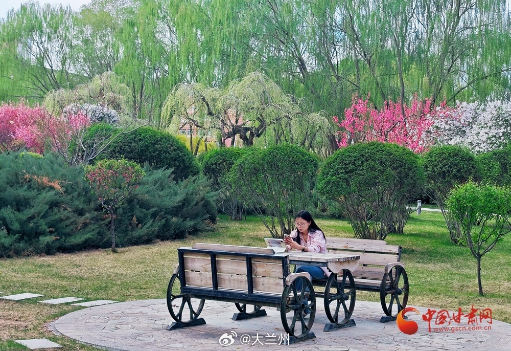 甘肃校园美景大赏【陇拍客丨张掖：绿荫书韵 校园盎然如诗画】盛夏七月，河西学院校园