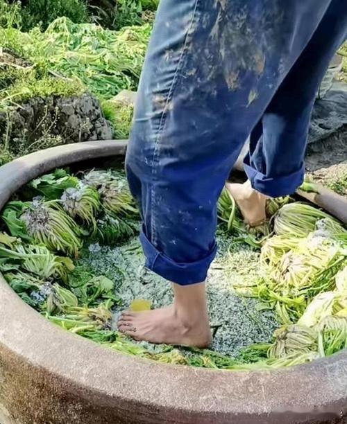泡面三巨头收入集体回暖希望制作流程变得干净卫生一点，别又传出来脚踩泡菜这种事情。