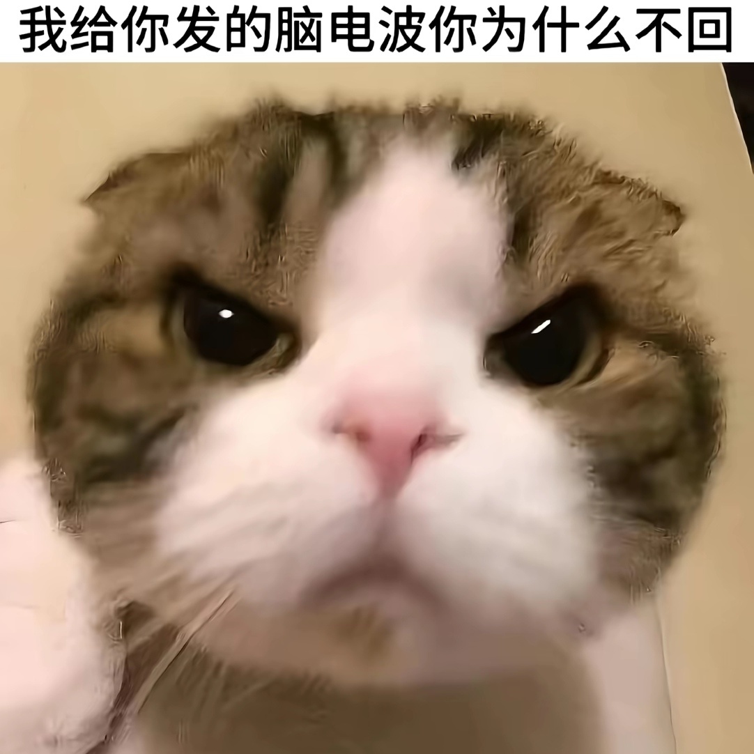 张艺凡艺起爱信箱 姐姐 我一个月生活费1k5 愿意给你1314 剩下的180是我