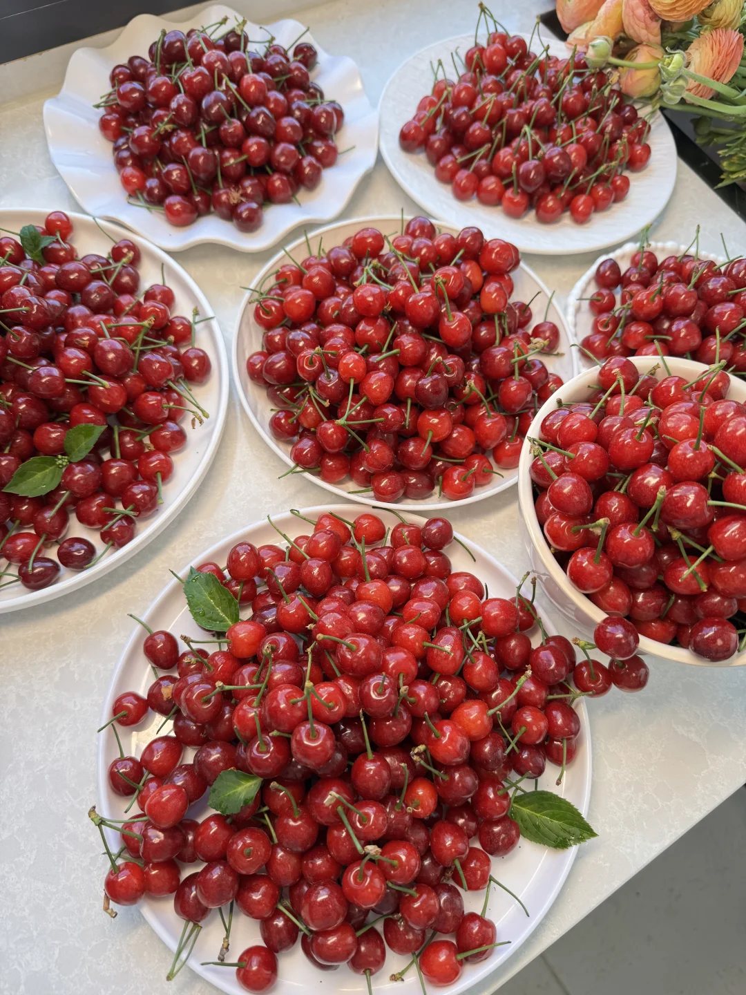 一年就20天果期，懂的人已经开始加单回购了