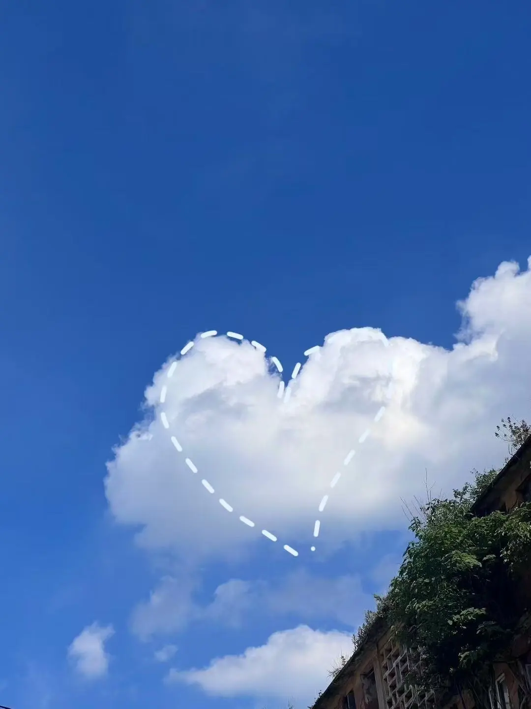 我拍到云心啦！太幸福了～