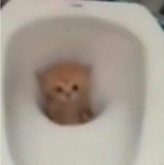 玩加早安 大家最喜欢用的皮肤是哪一个[期待]英雄联盟[超话] ​​​