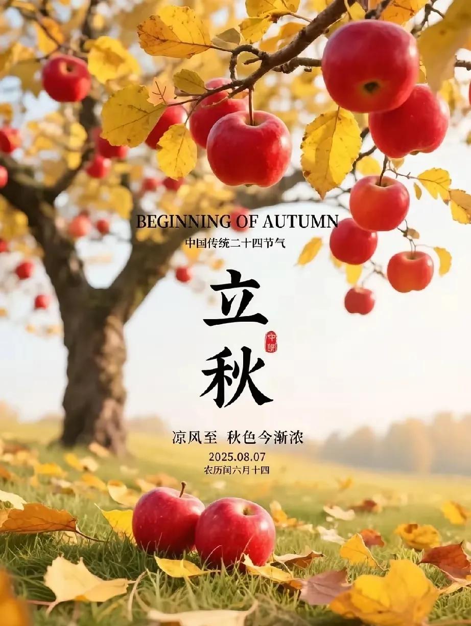 在二十四节气里，进入了立秋，意味着我们都要进入了秋天的气候了。

也不知道从什么