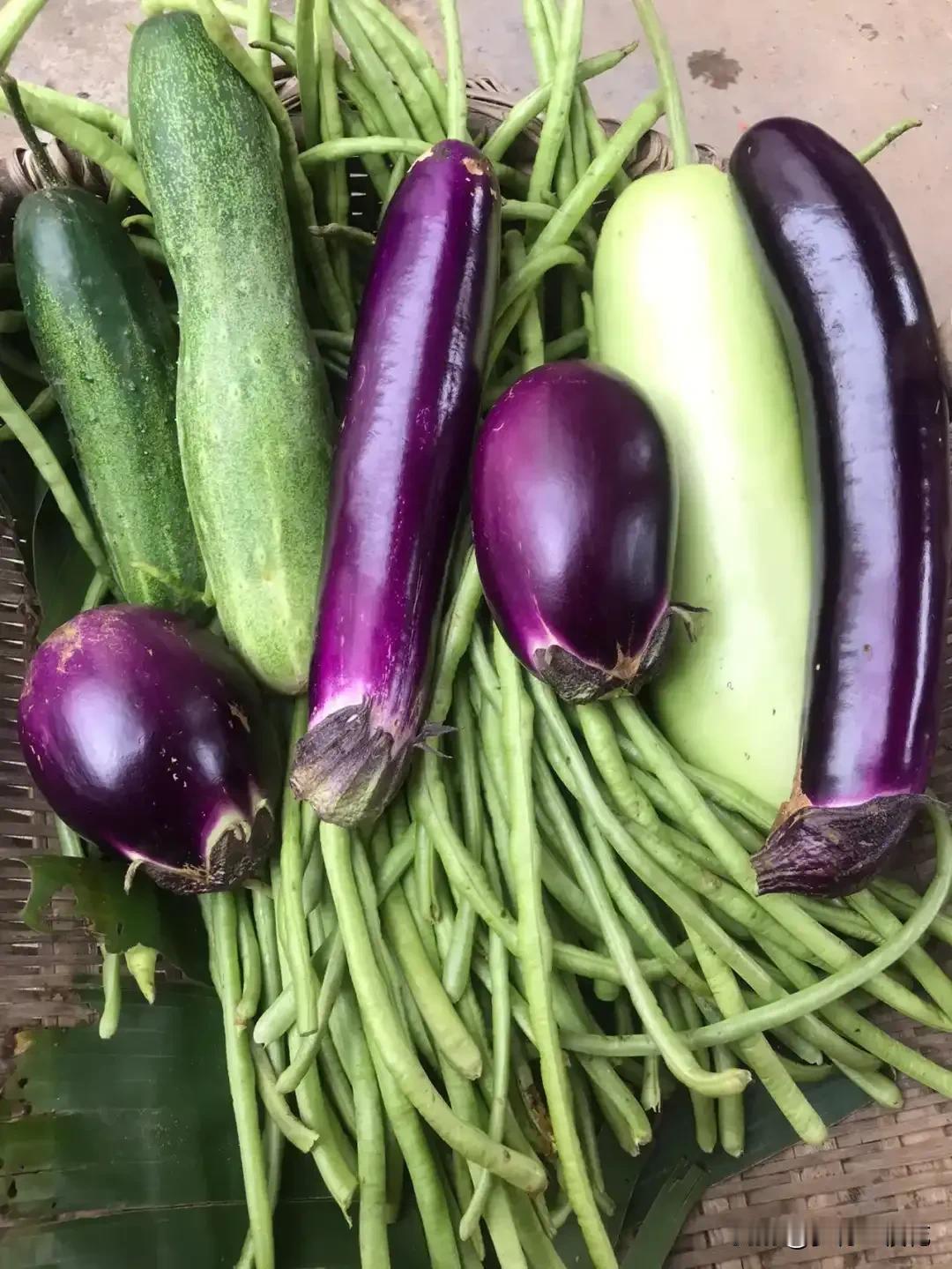 10月适合种植的蔬菜,你知道吗? 10月秋意渐浓，正是种植蔬菜的好时机。像菠菜就