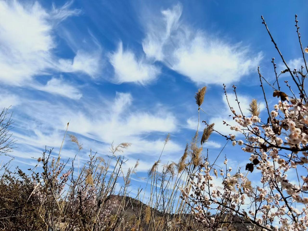 青岛眼科医院就诊记～8
（2026年4月14日）
在没做白内障手术之前，好多人都