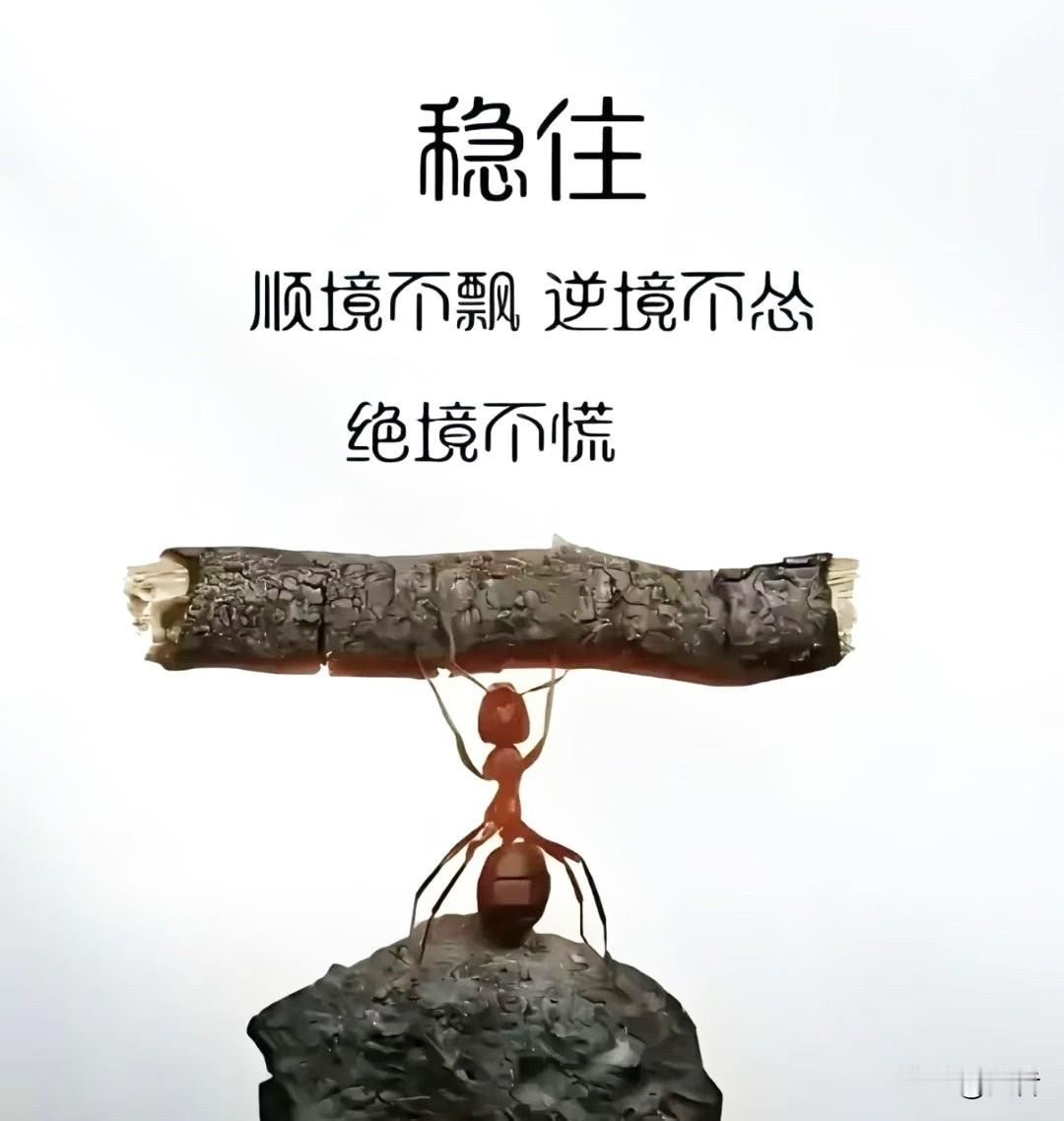 稳住！

如今的头条，于我而言已是食之无味、弃之可惜。

食之无味，是渐渐少了可