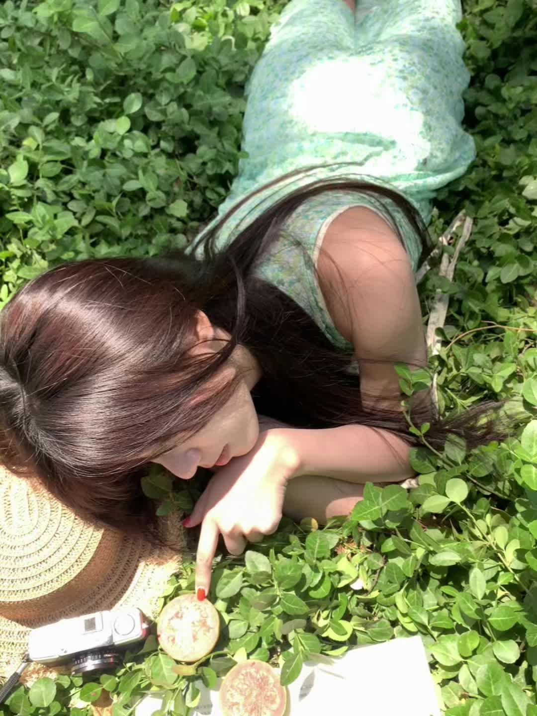 ♡₊˚ ☘️・₊无尽夏✧