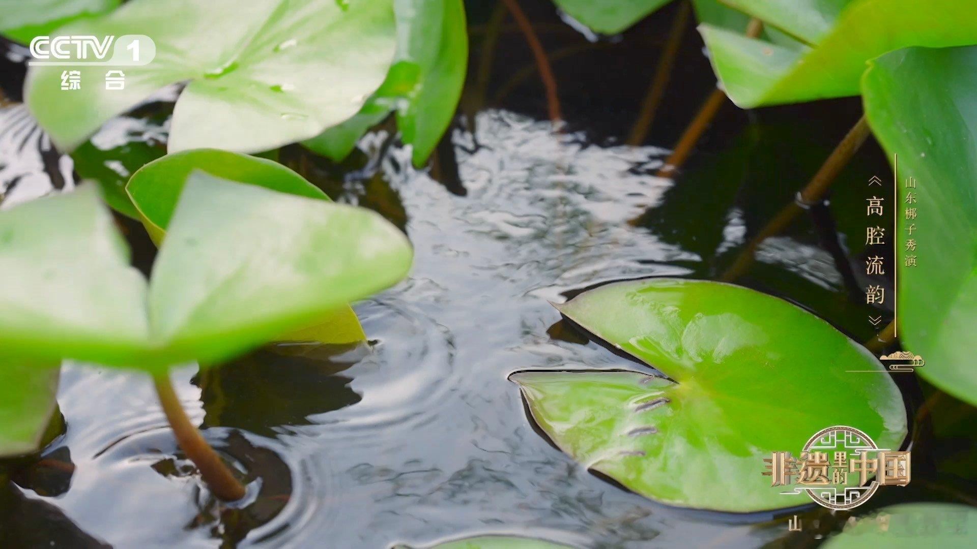 四百年的山东梆子有人接着唱小戏骨登台开嗓太飒了学戏练功有多苦，登台开嗓就有多耀眼