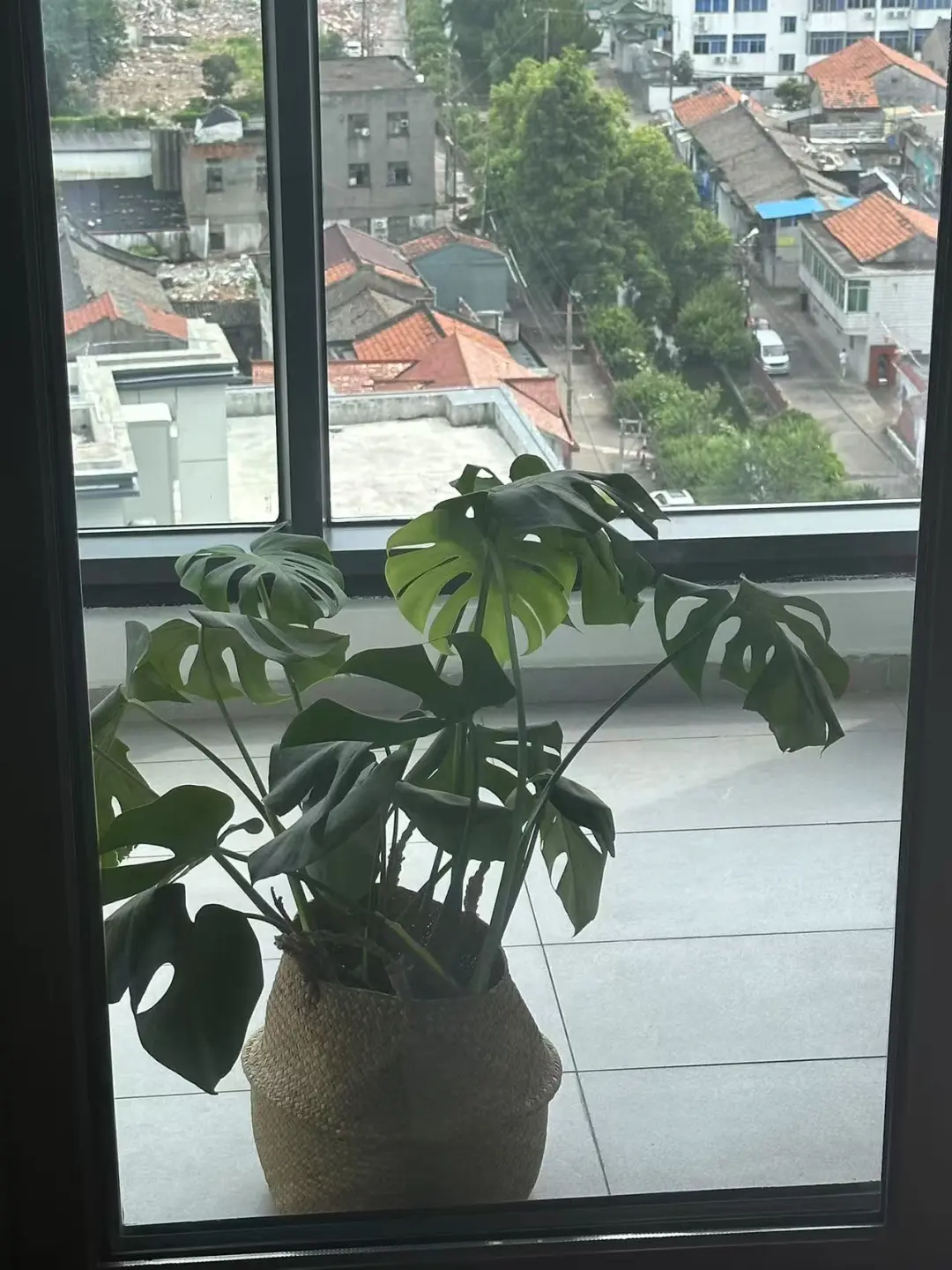 小绿在大世界里好自在🍃