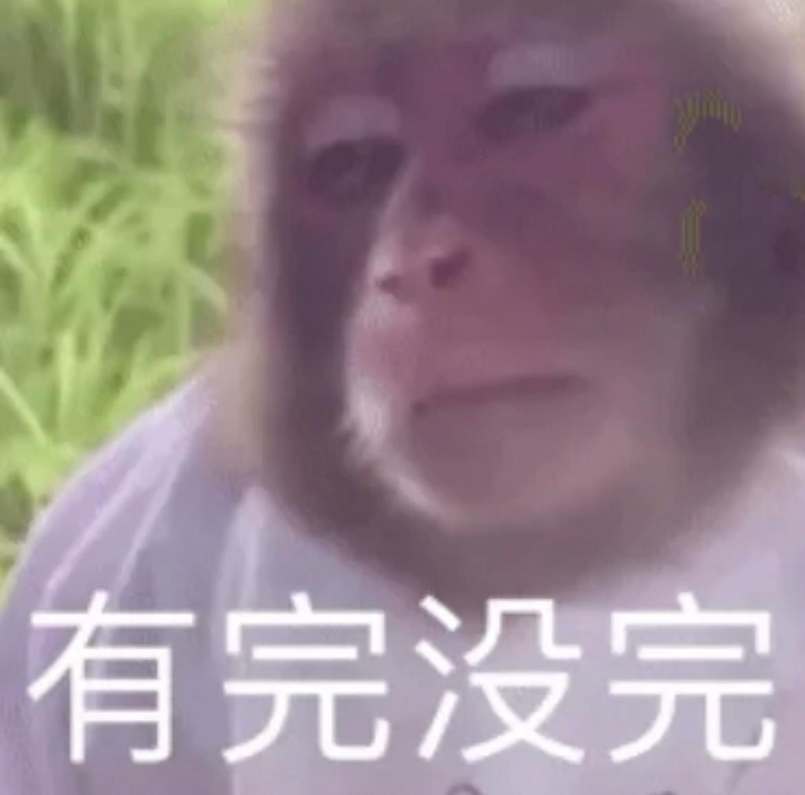 太崩溃了，都快两个月了，我泰国711的会员卡还没有搞好…今天一登录手机突然发现诶