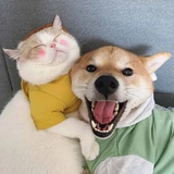 婕怡热聊军事