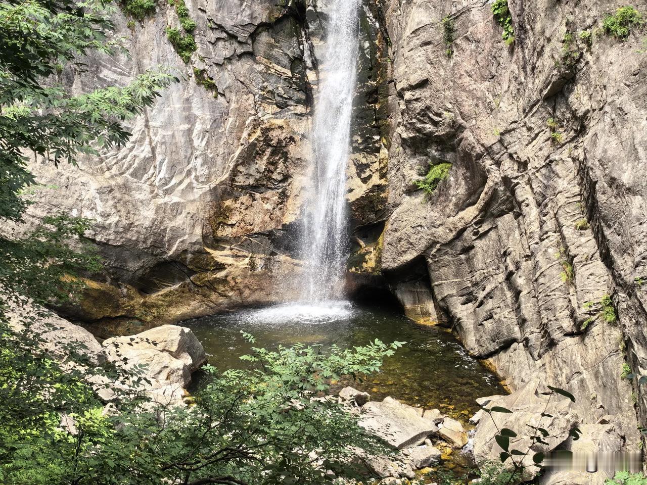 【鹧鸪天•酷热煎熬】
酷热煎熬难坦然，
幽林秘境觅心安。
天蒸地烤存芳草，
叶茂