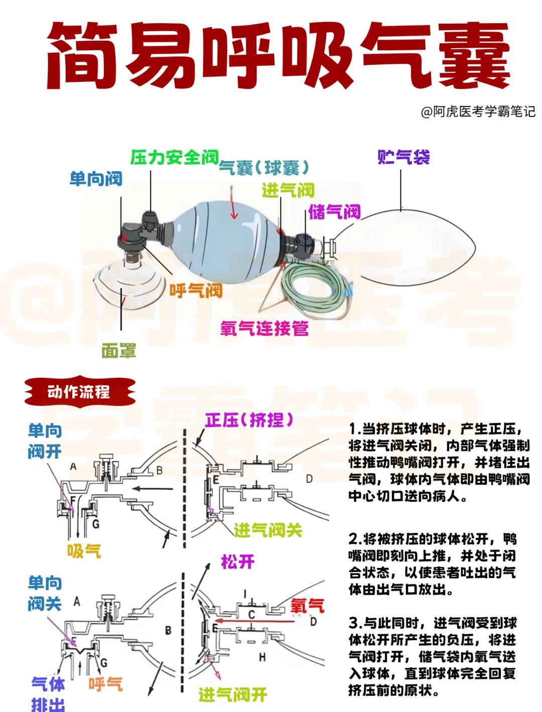 医学生笔记📒｜简易呼吸气囊👆