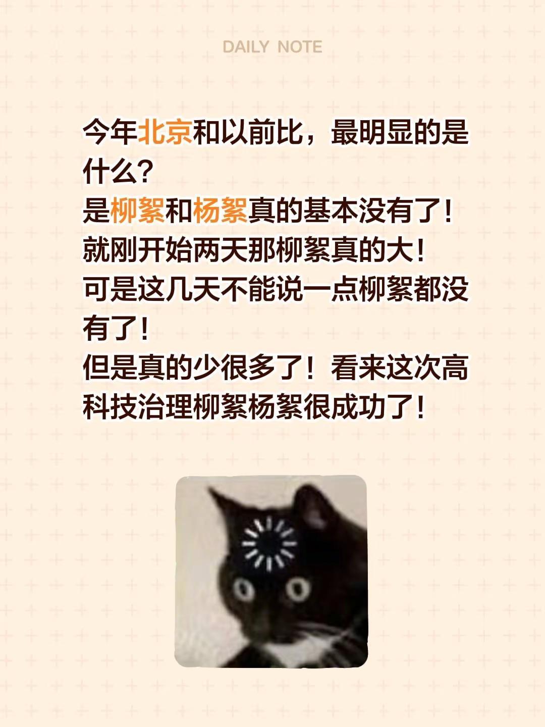 今年北京和以前比，最明显的是什么？是柳絮和杨絮真的基本没有了！就刚开始两天那柳絮