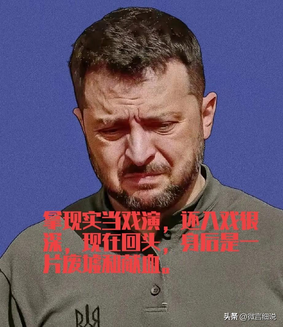 真被一则消息给震惊了，泽连斯基要牺牲25%的领土换和平。我直接无语了，这表面是2