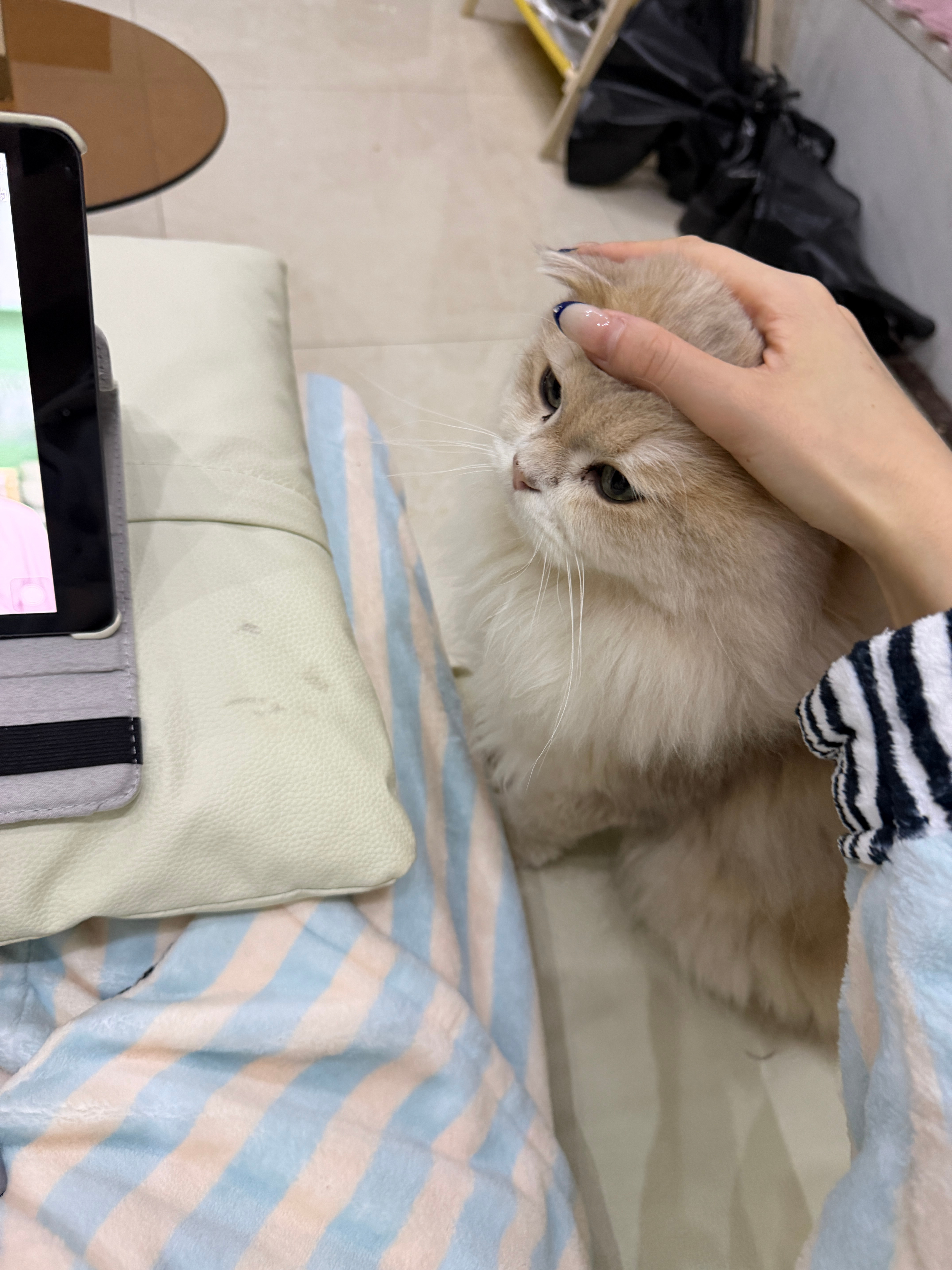 不吃点宵夜睡不踏实记录治愈系我的日常plog